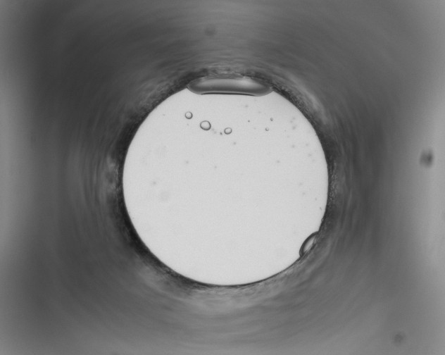 X0000116760025201001141439