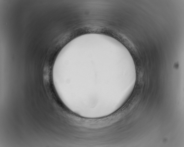 X0000116760026201001141439