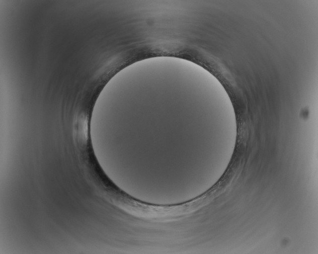 X0000116760027201001141439