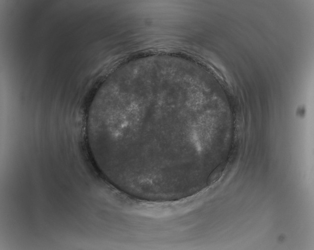 X0000116760029201001141439