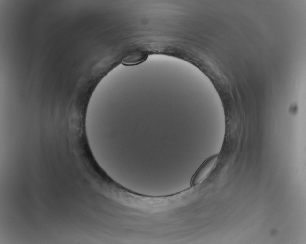 X0000116760031201001141439