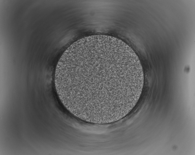 X0000116760032201001141439