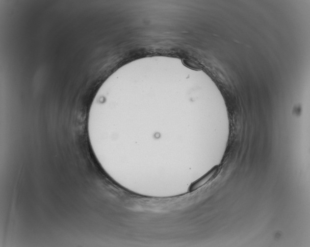 X0000116760033201001141439