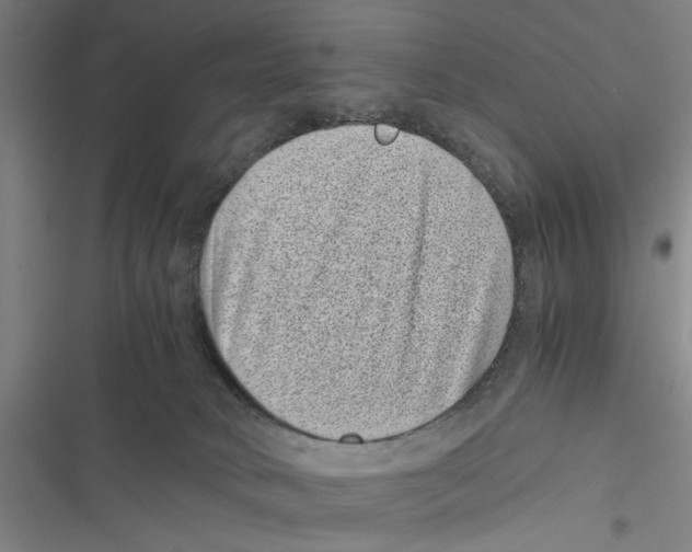 X0000116760034201001141439