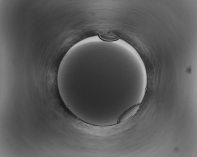 X0000116760035201001141439