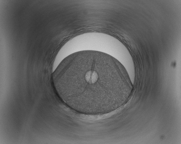 X0000116760037201001141439