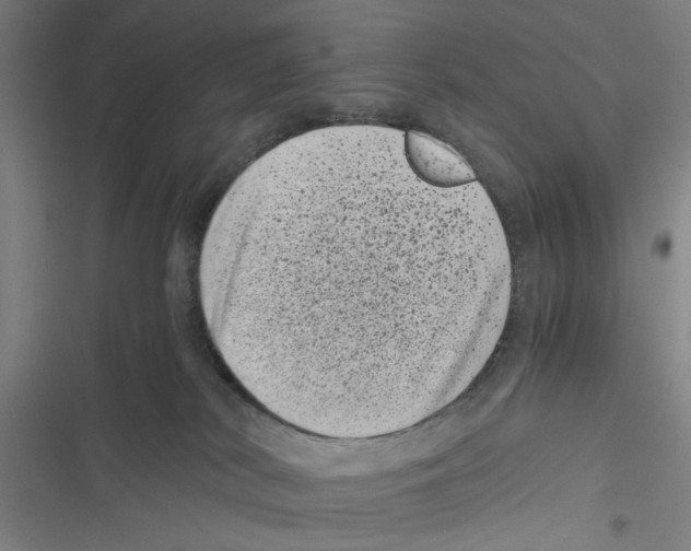 X0000116760038201001141439