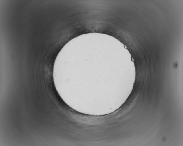 X0000116760040201001141439