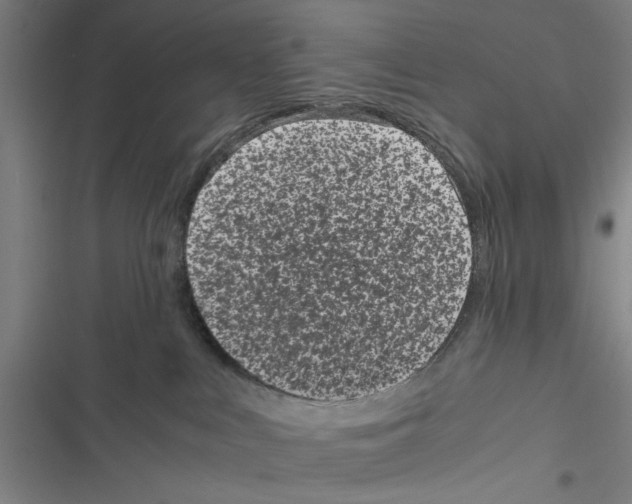 X0000116760043201001141439