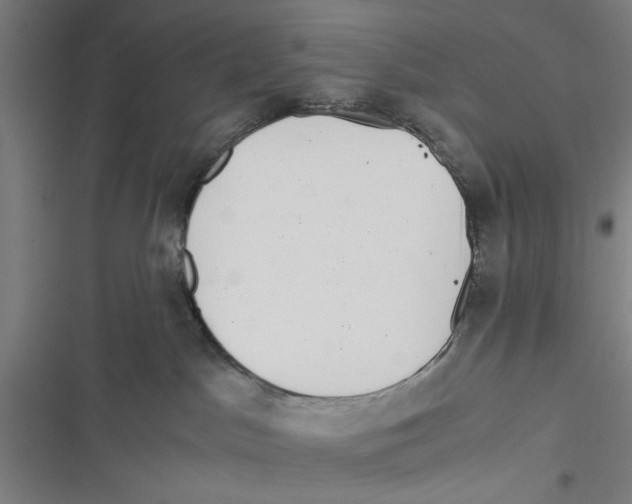 X0000116760045201001141439