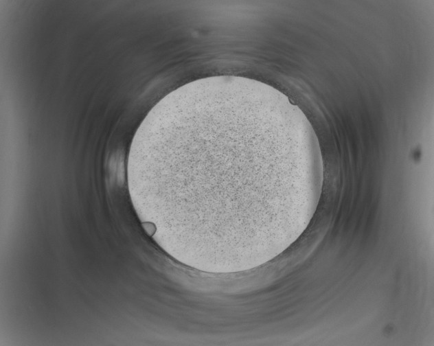 X0000116760046201001141439