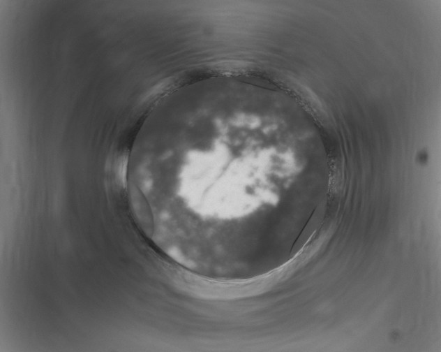 X0000116760047201001141439