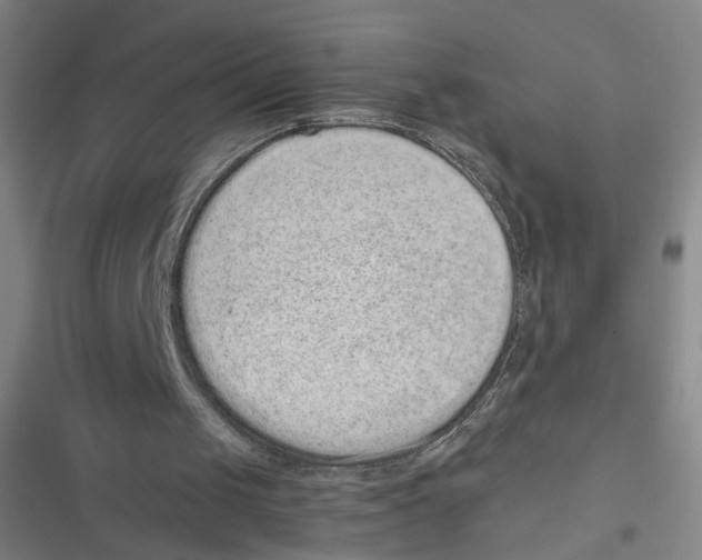 X0000116760049201001141438