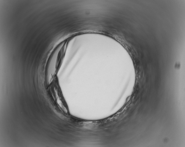 X0000116760050201001141438