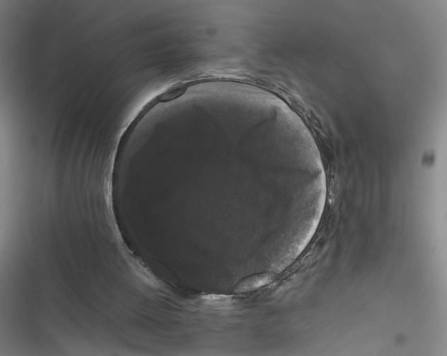 X0000116760052201001141438