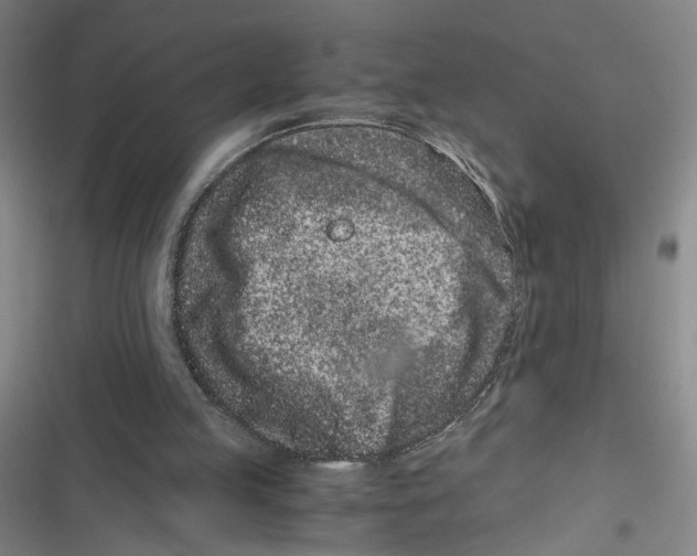 X0000116760053201001141438