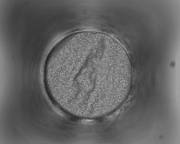 X0000116760055201001141438