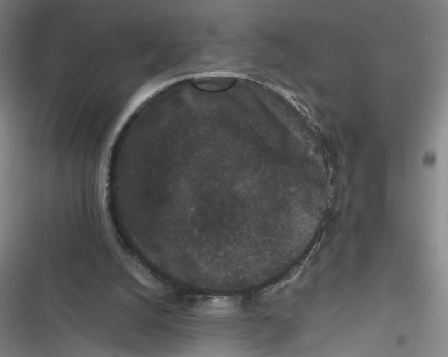 X0000116760056201001141438