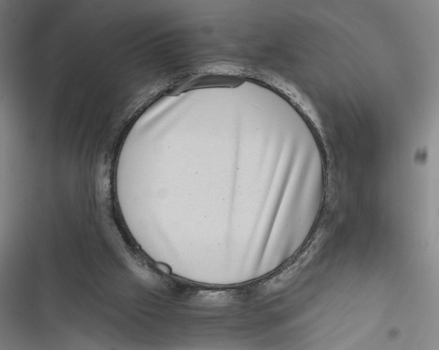 X0000116760057201001141438