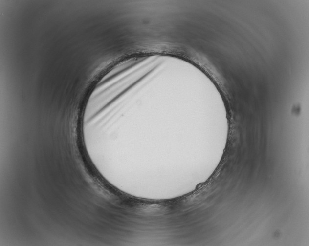 X0000116760058201001141438