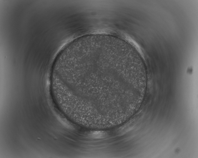 X0000116760059201001141438