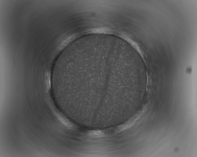 X0000116760061201001141438