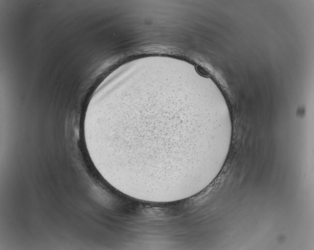 X0000116760062201001141438