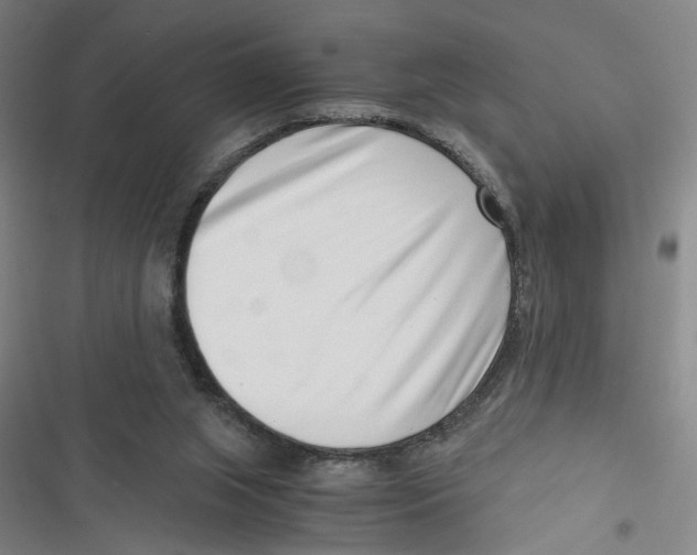 X0000116760063201001141438