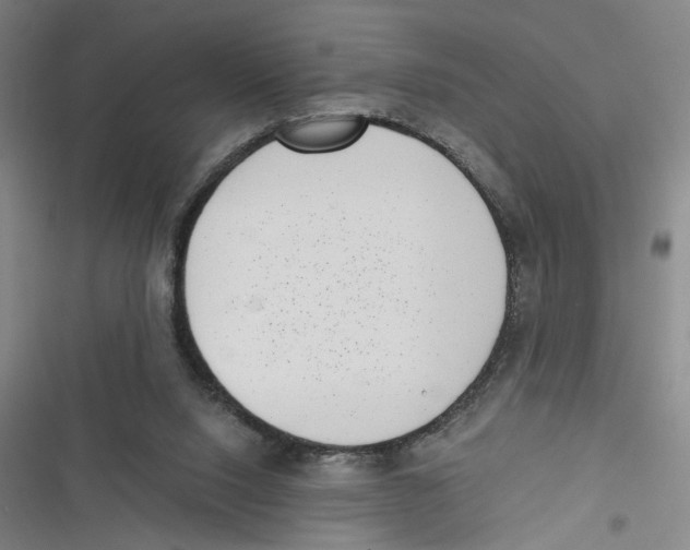 X0000116760064201001141438