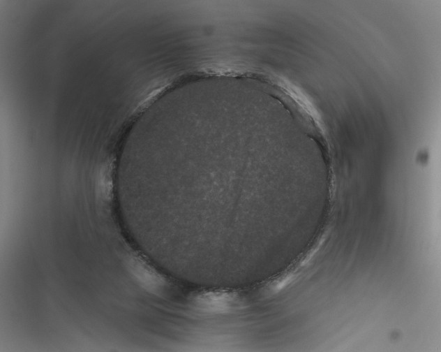 X0000116760065201001141438