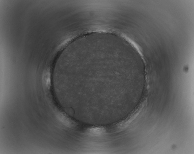 X0000116760067201001141438