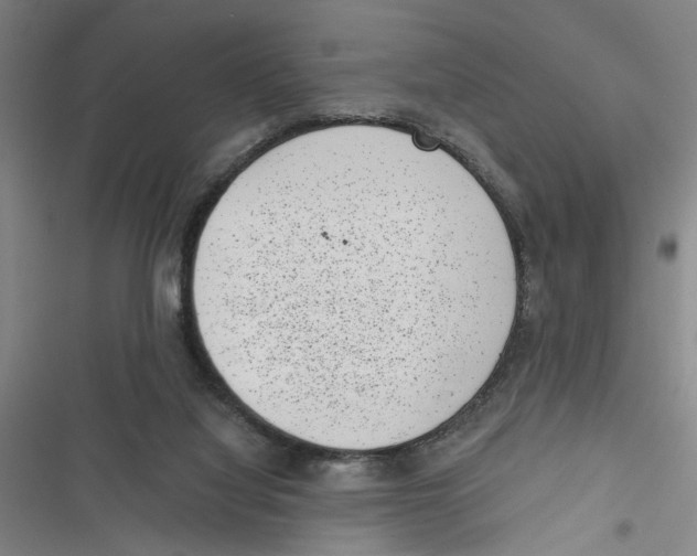 X0000116760068201001141438