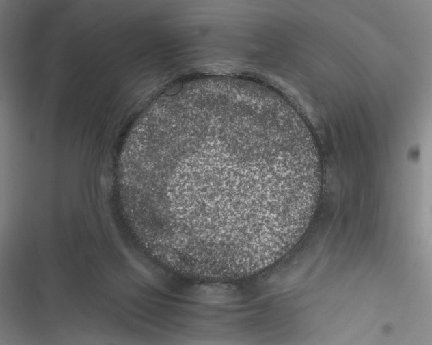 X0000116760069201001141438