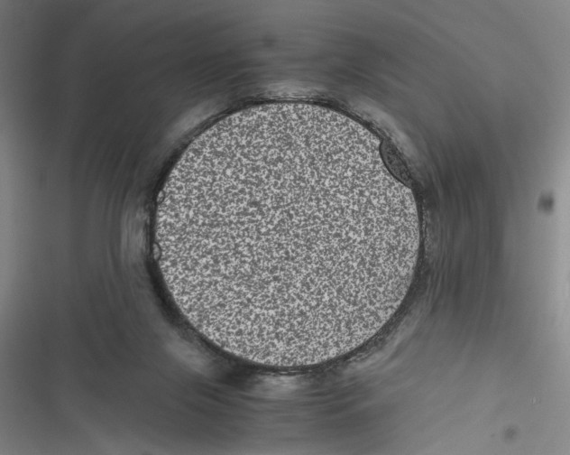 X0000116760071201001141438