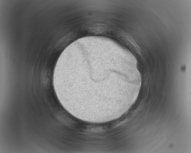 X0000116760073201001141438