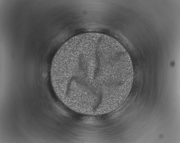 X0000116760074201001141438