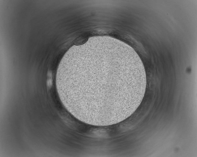 X0000116760075201001141438