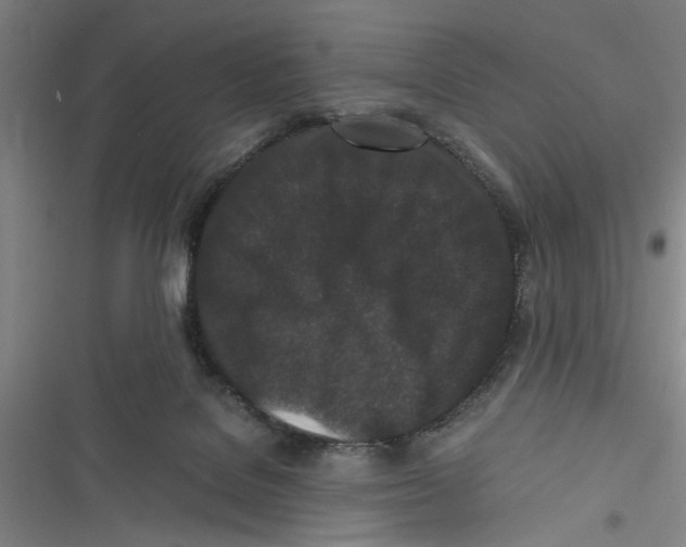 X0000116760076201001141438