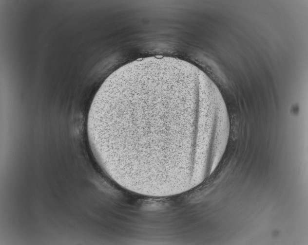 X0000116760077201001141438