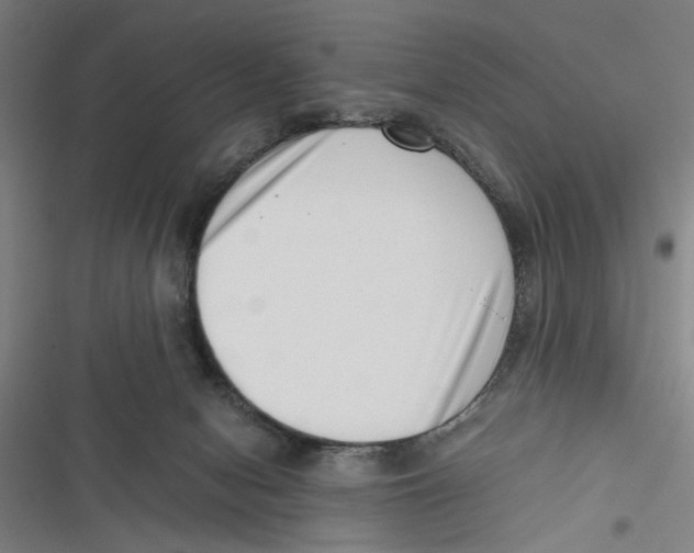 X0000116760078201001141438