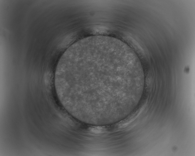 X0000116760079201001141438