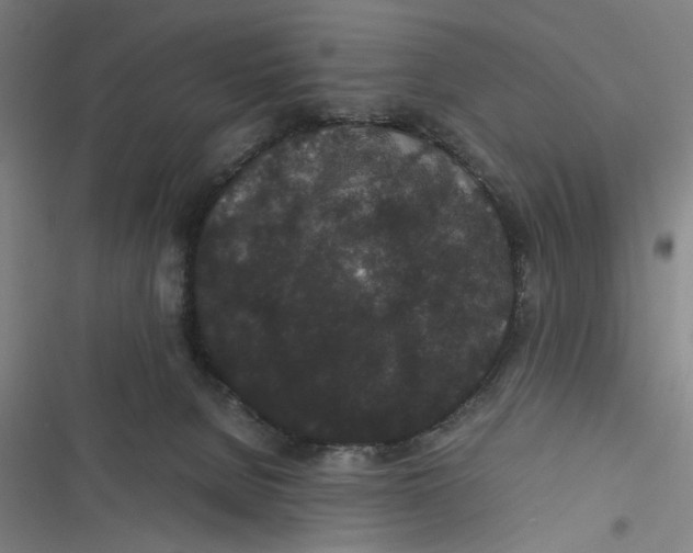 X0000116760080201001141438