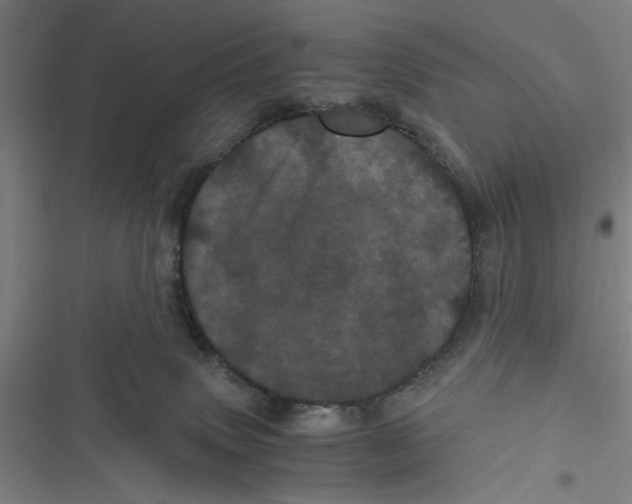 X0000116760083201001141438