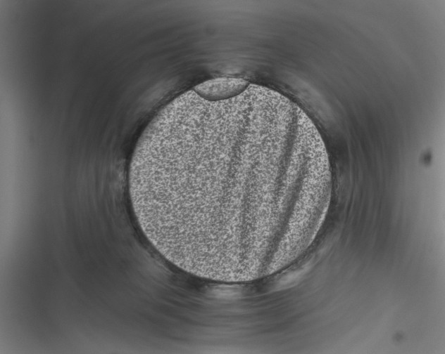 X0000116760085201001141438