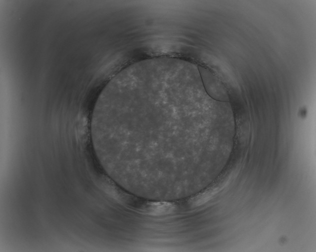 X0000116760087201001141439