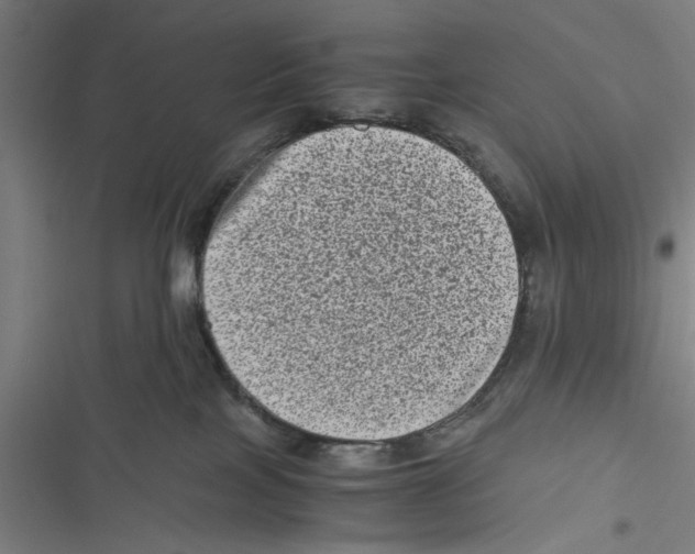 X0000116760089201001141439