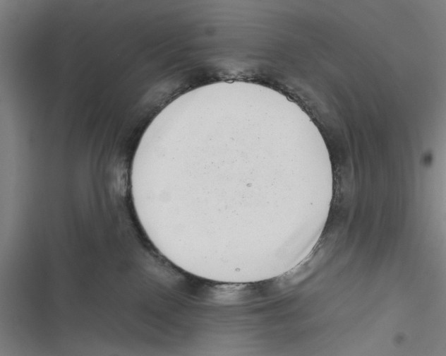 X0000116760090201001141439