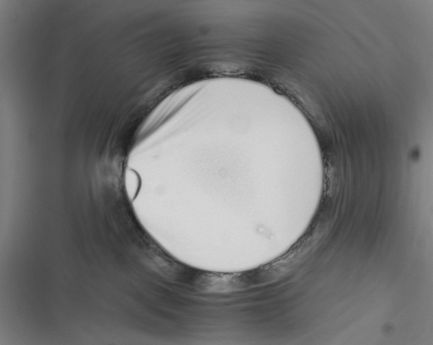 X0000116760093201001141439