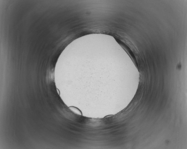 X0000116760095201001141439