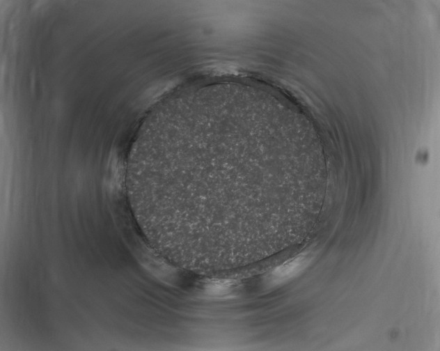 X0000116760096201001141439